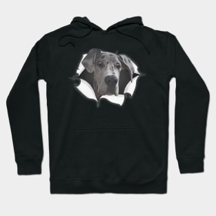 Break Out Great Dane Hoodie